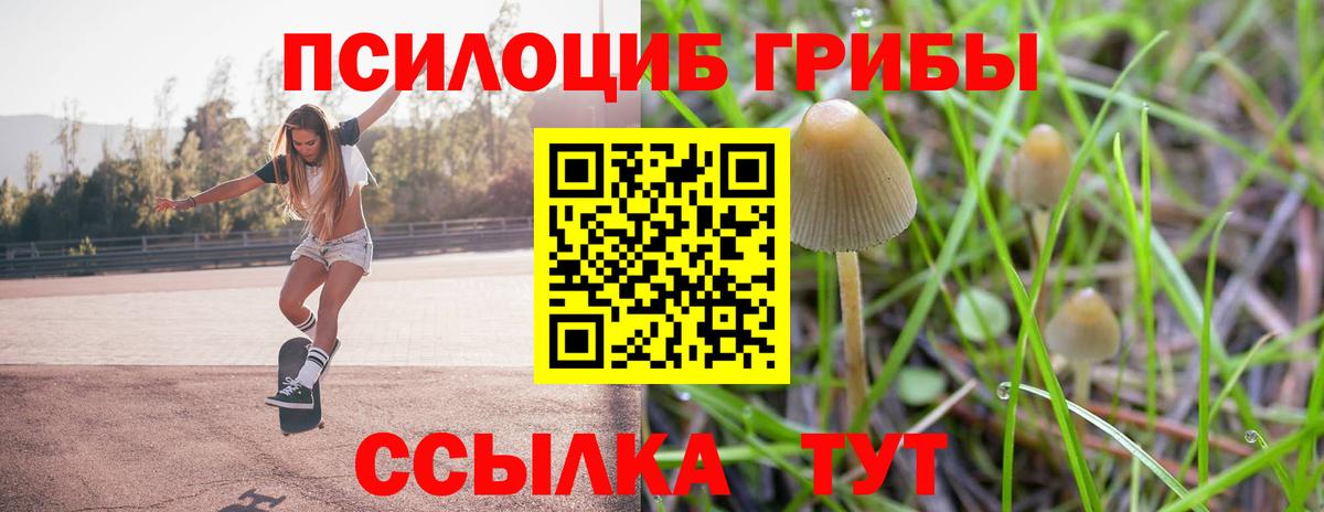 Псилоцибиновые грибы GOLDEN TEACHER Выкса